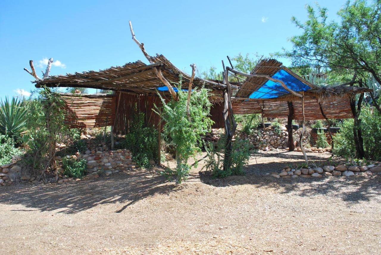 Amber Lagoon Backpackers Lodge Vleirivier 外观 照片