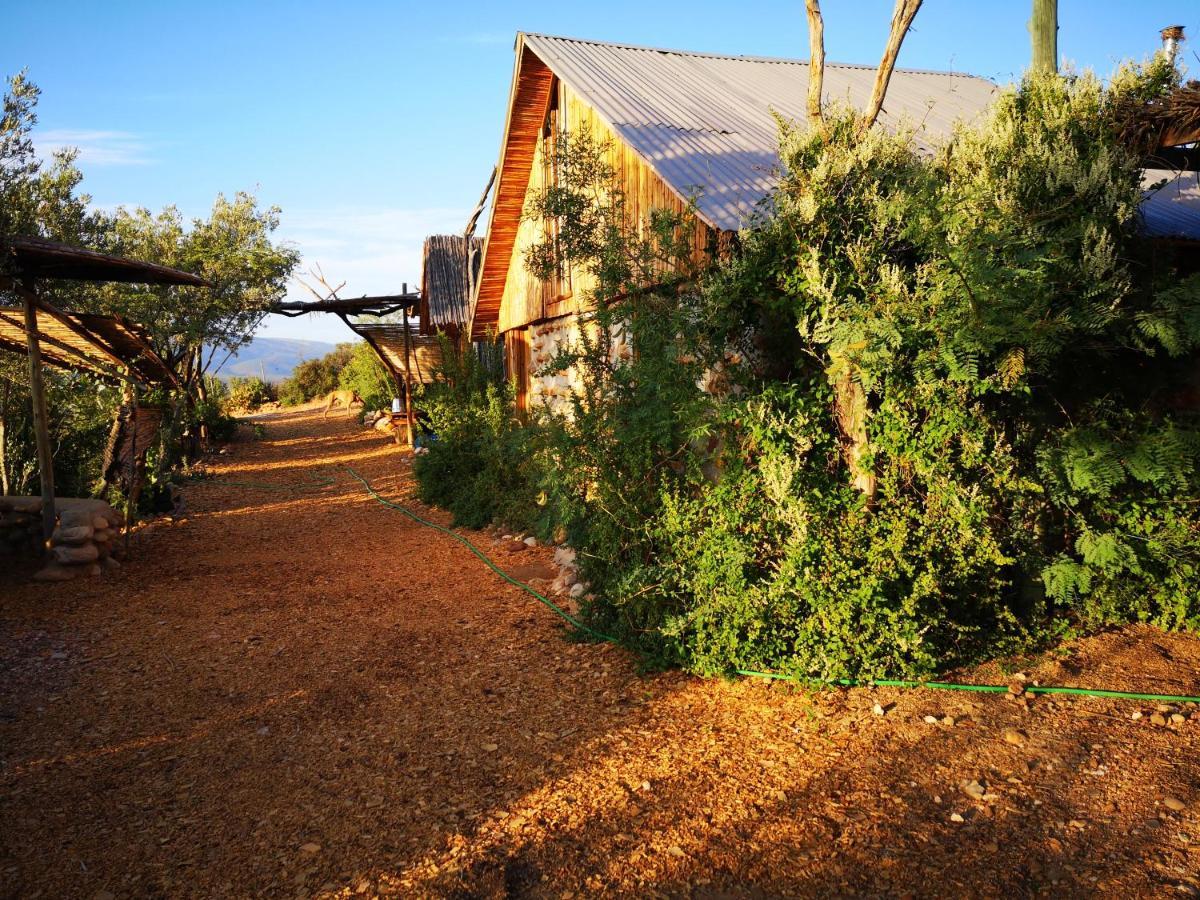 Amber Lagoon Backpackers Lodge Vleirivier 外观 照片