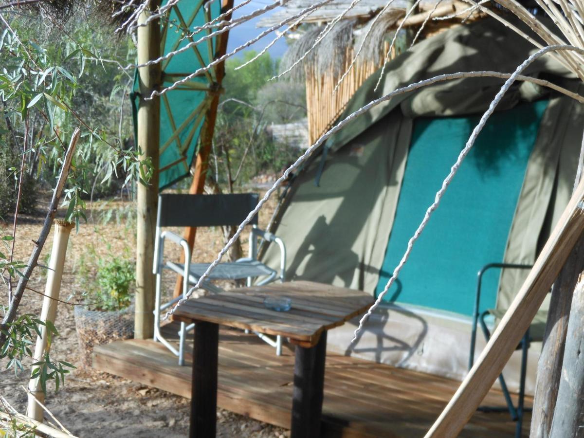 Amber Lagoon Backpackers Lodge Vleirivier 外观 照片