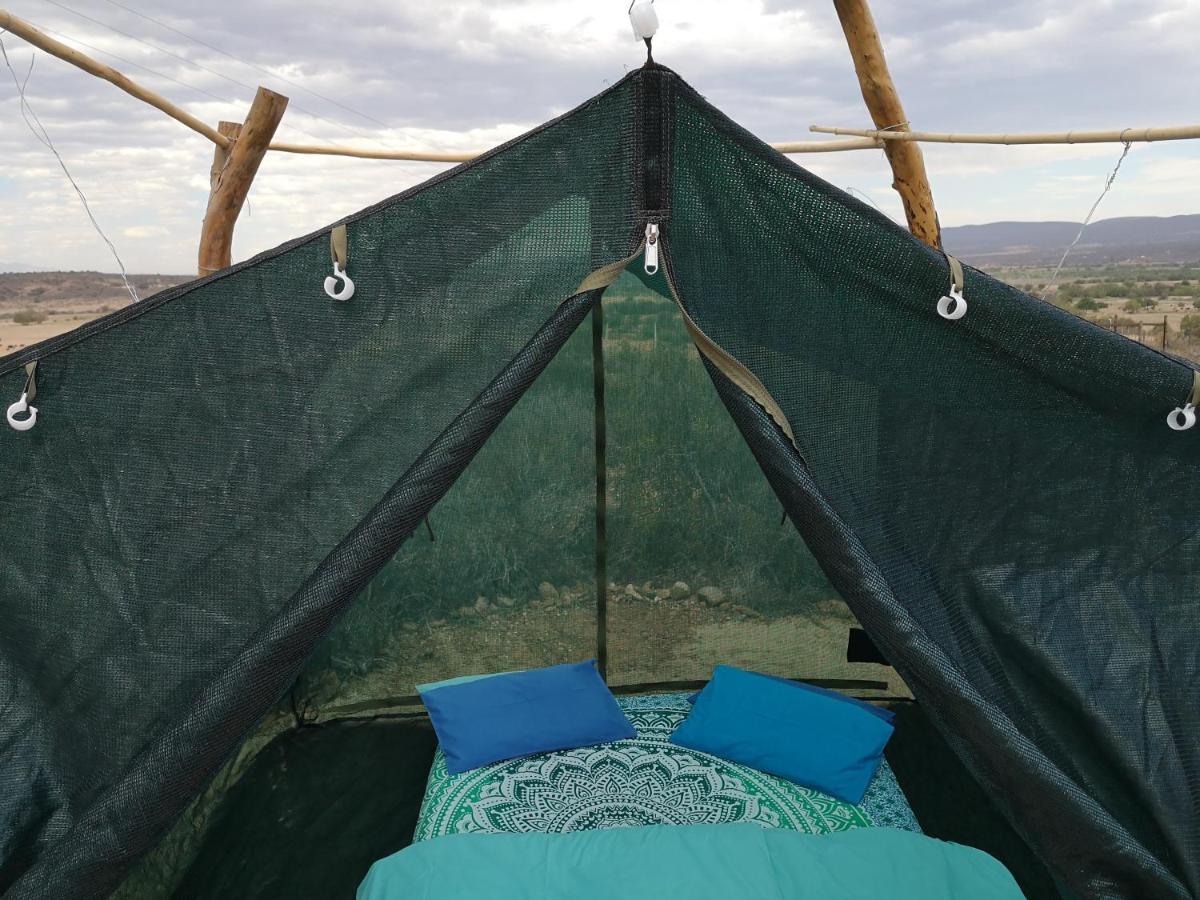 Amber Lagoon Backpackers Lodge Vleirivier 外观 照片