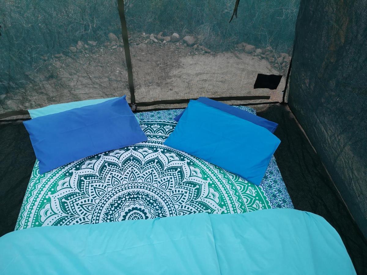 Amber Lagoon Backpackers Lodge Vleirivier 外观 照片