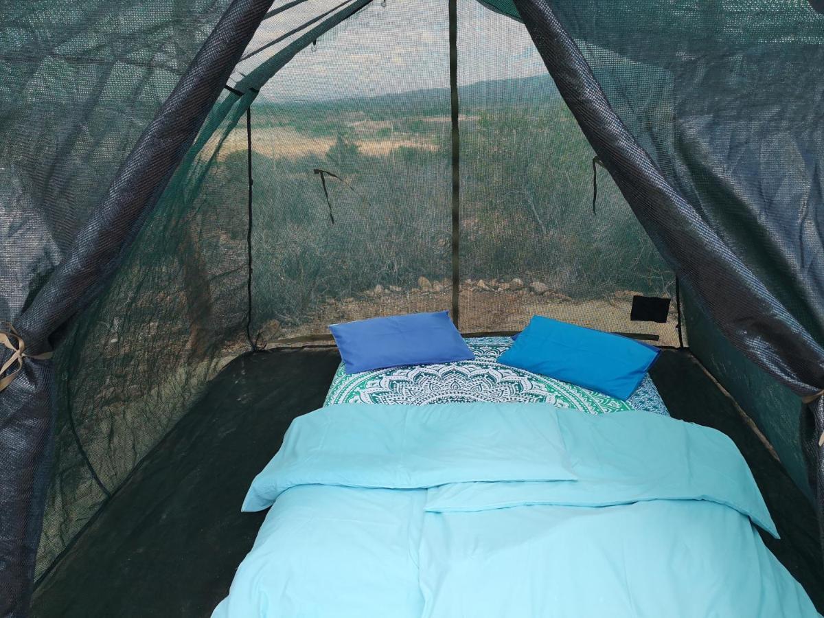 Amber Lagoon Backpackers Lodge Vleirivier 外观 照片