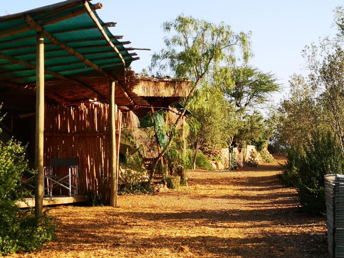 Amber Lagoon Backpackers Lodge Vleirivier 外观 照片