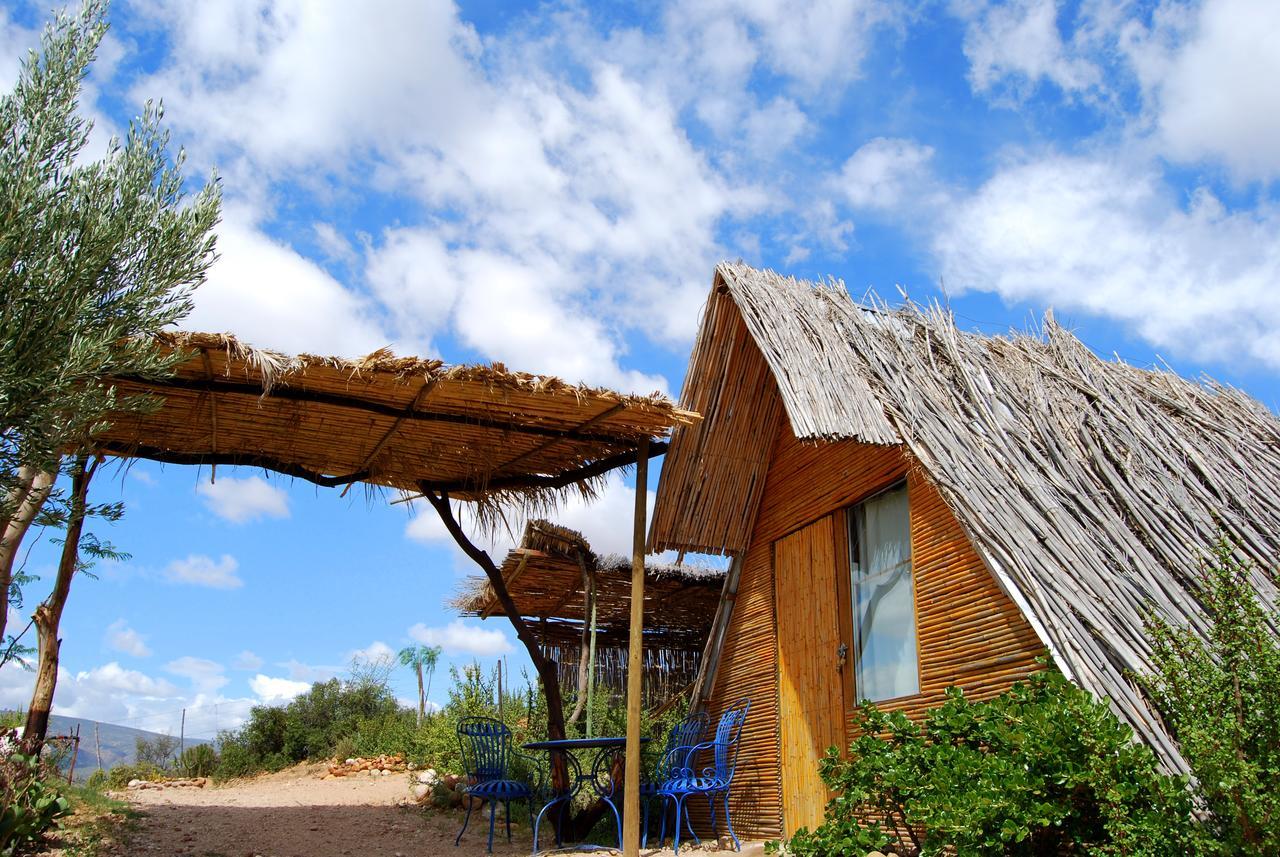 Amber Lagoon Backpackers Lodge Vleirivier 外观 照片